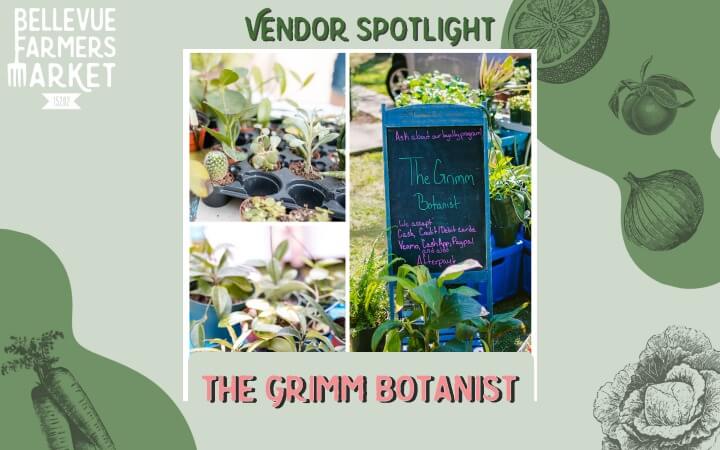 Vendor Spotlight – The Grimm Botanist