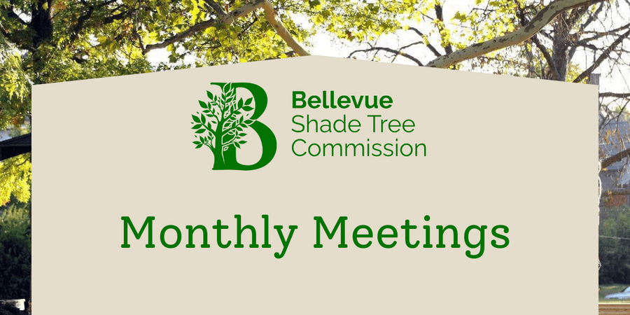 Borough of Bellevue